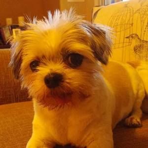 Meet your Posher, Maria